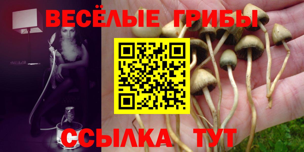 Псилоцибиновые грибы прущие грибы  Вход с VPN  Псилоцибиновые грибы MAGIC MUSHROOMS  Отрадный 