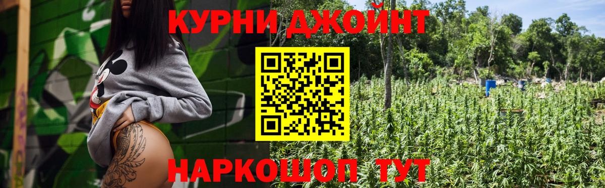 Конопля план Отрадный